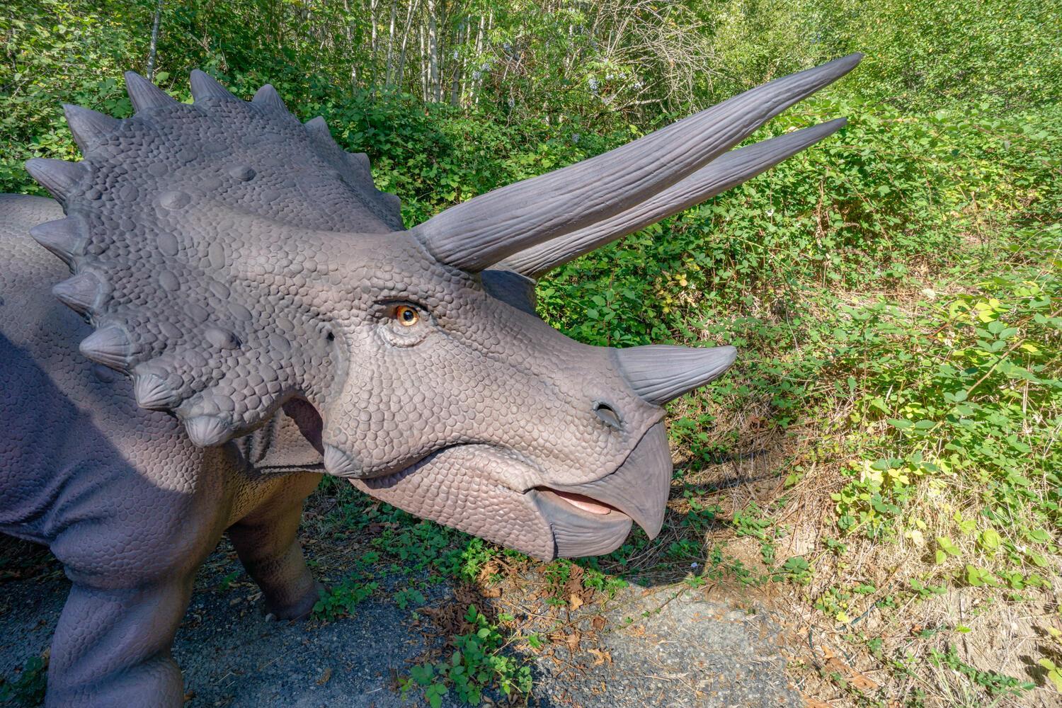 Jurassic Rebirth Out On Jul 2 - Book Your Stay Now (Adults Only) Washougal Kültér fotó