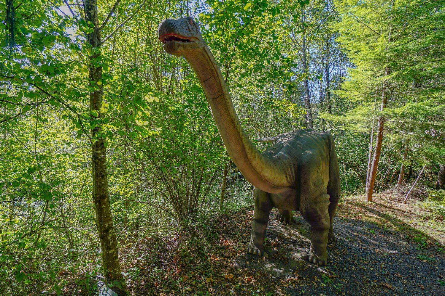 Jurassic Rebirth Out On Jul 2 - Book Your Stay Now (Adults Only) Washougal Kültér fotó