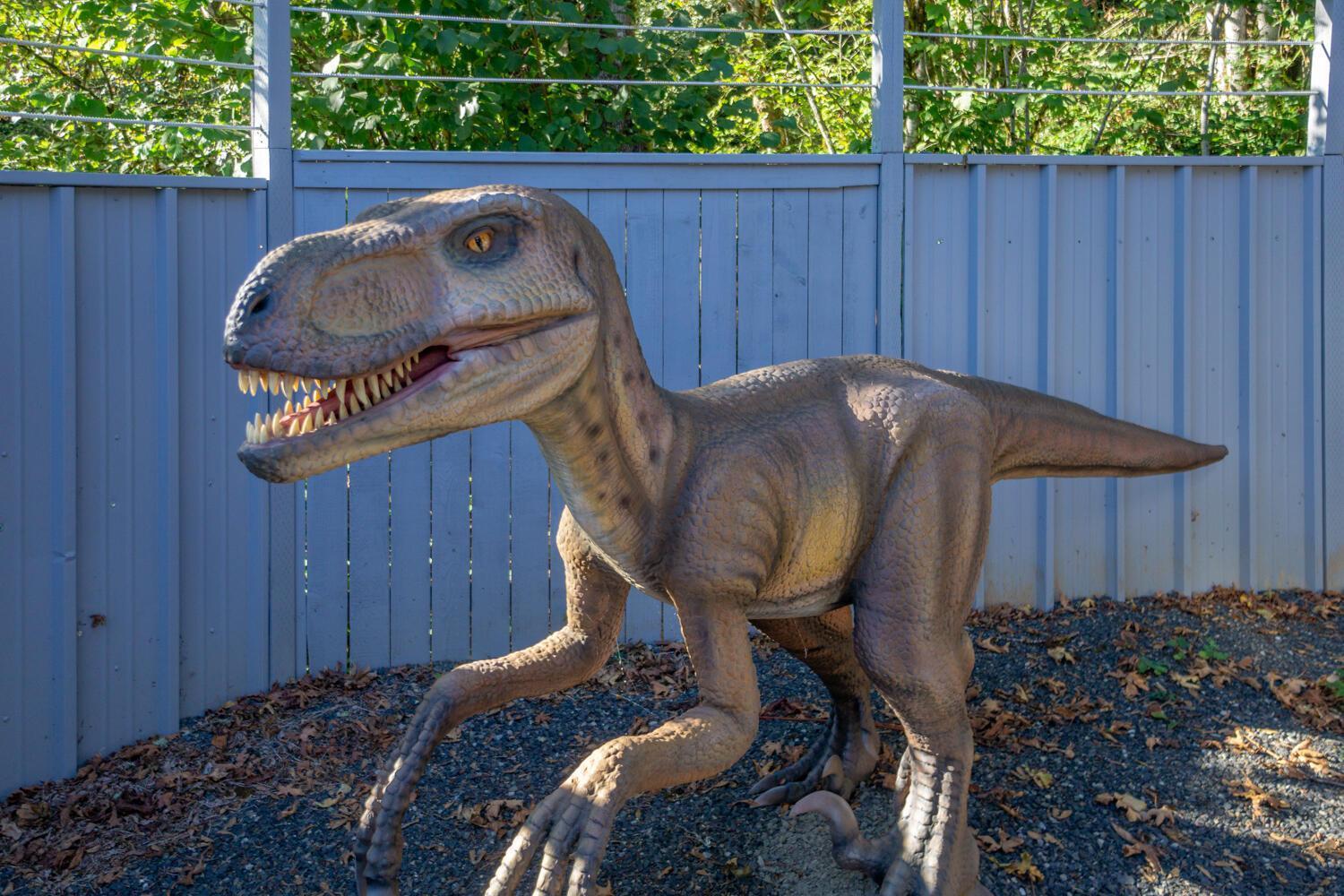 Jurassic Rebirth Out On Jul 2 - Book Your Stay Now (Adults Only) Washougal Kültér fotó